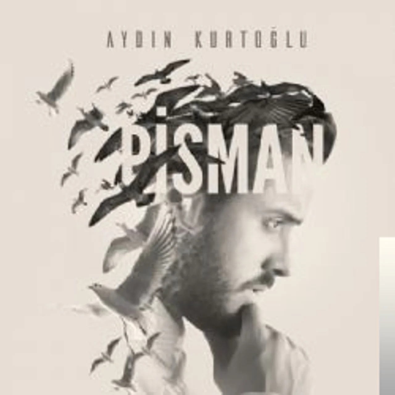 Aydın Kurtoğlu - Tüh Tüh