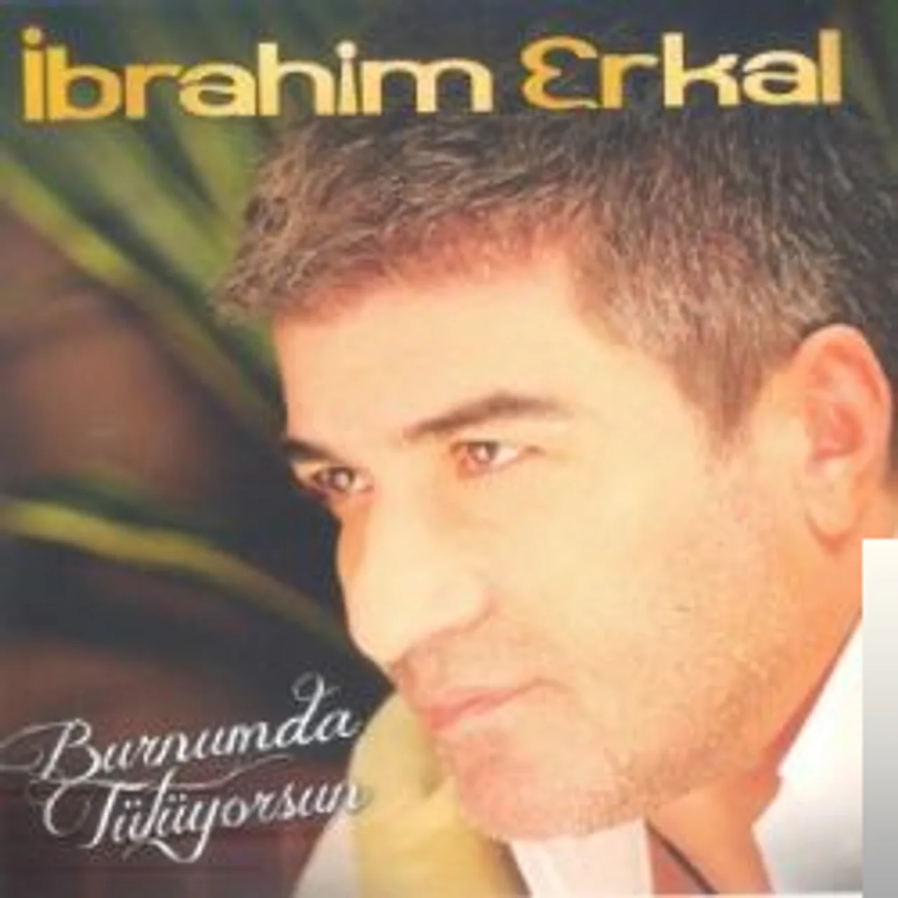 İbrahim Erkal - Sen Ne Anlarsın