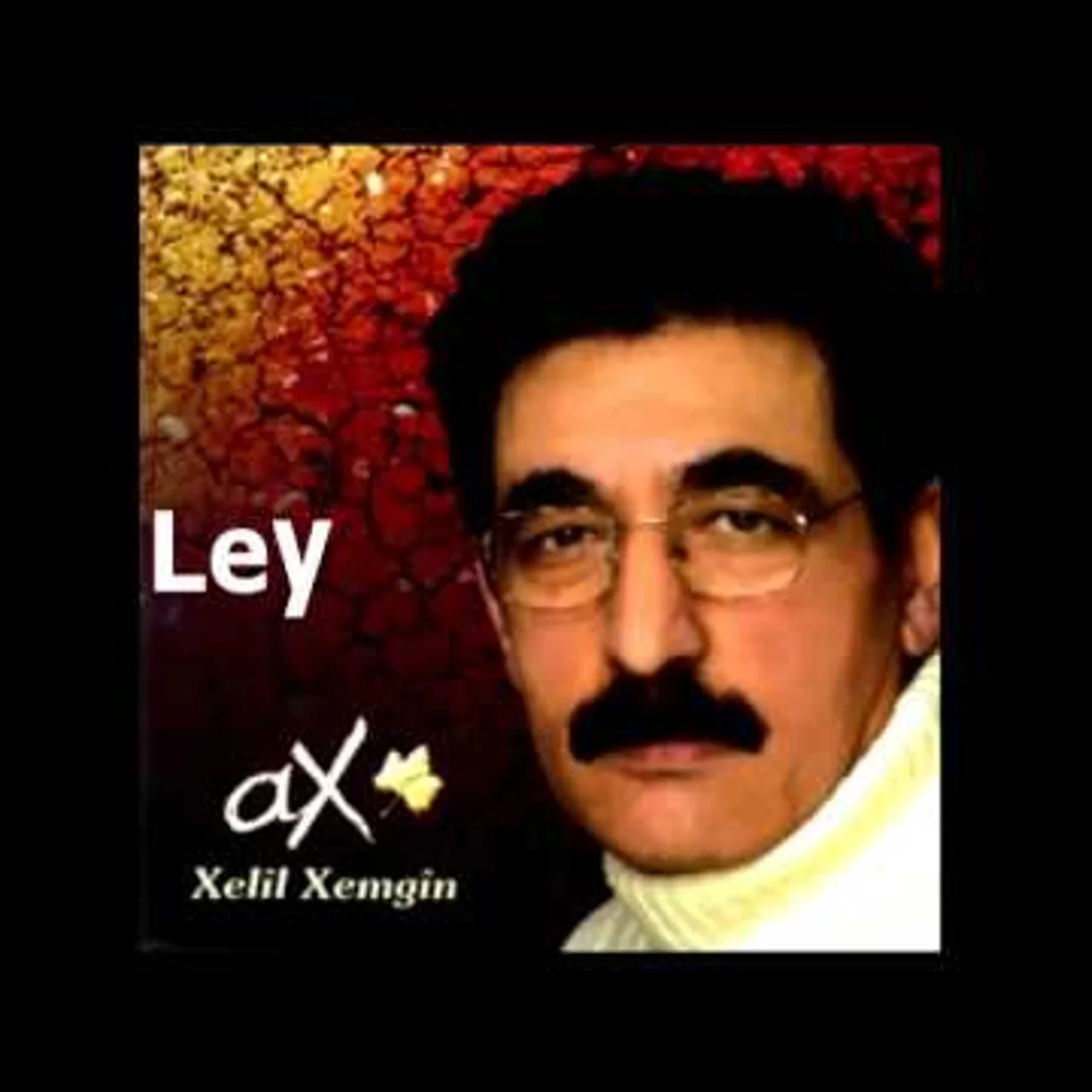 Xelil Xemgin - Şengal