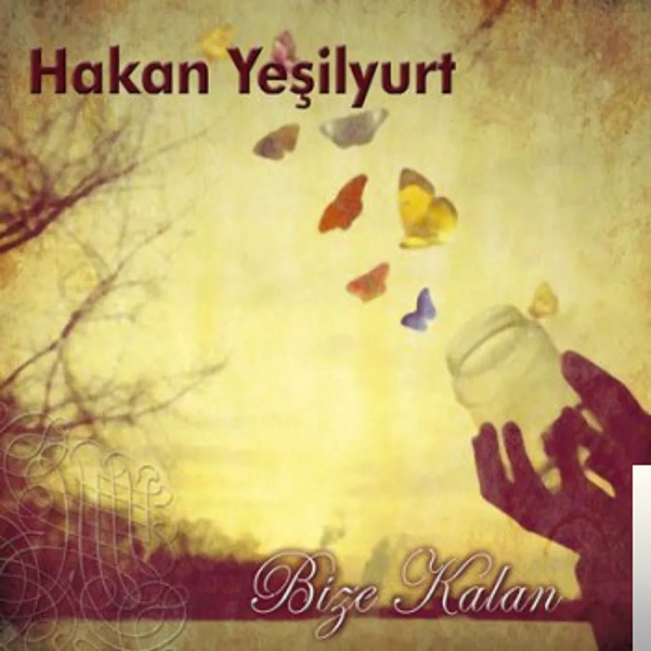 Hakan Yeşilyurt - Sedasız