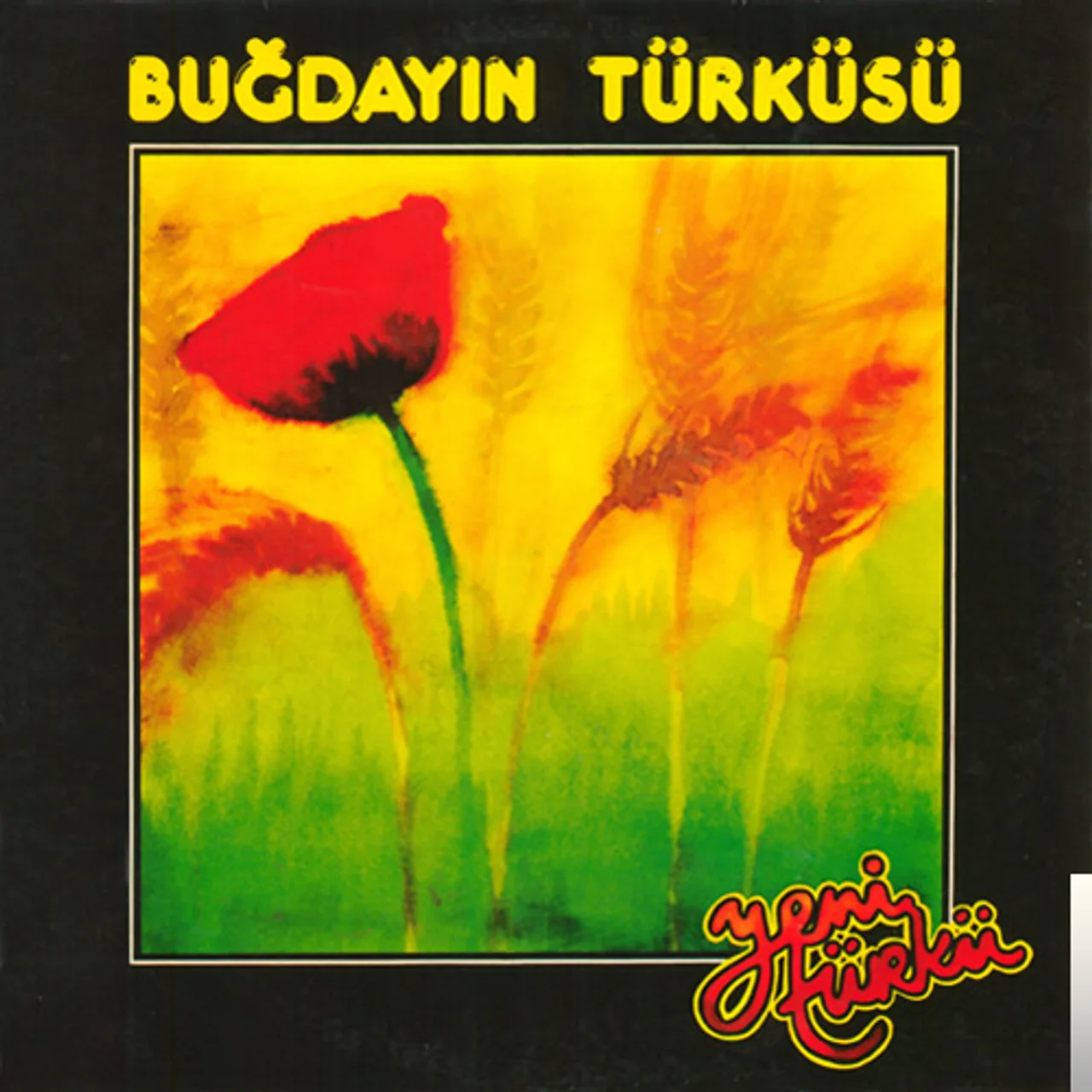 Yeni Türkü - Gelincik