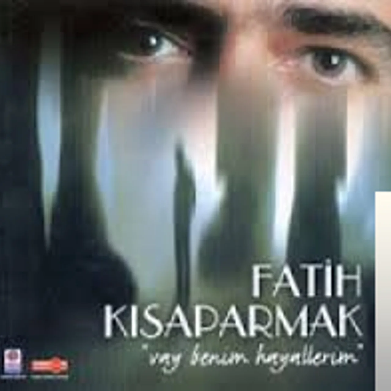 Fatih Kısaparmak - Sevmedi Beni
