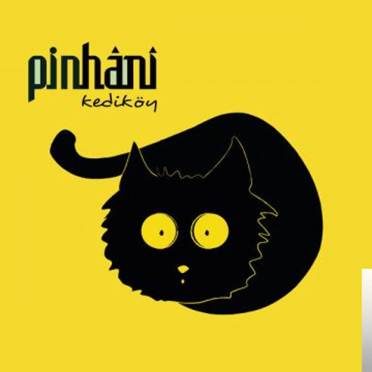 Pinhani - Geri Dönemem