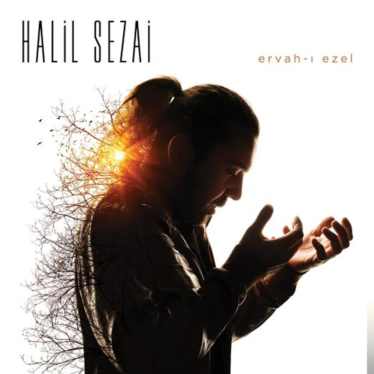 Halil Sezai - Git