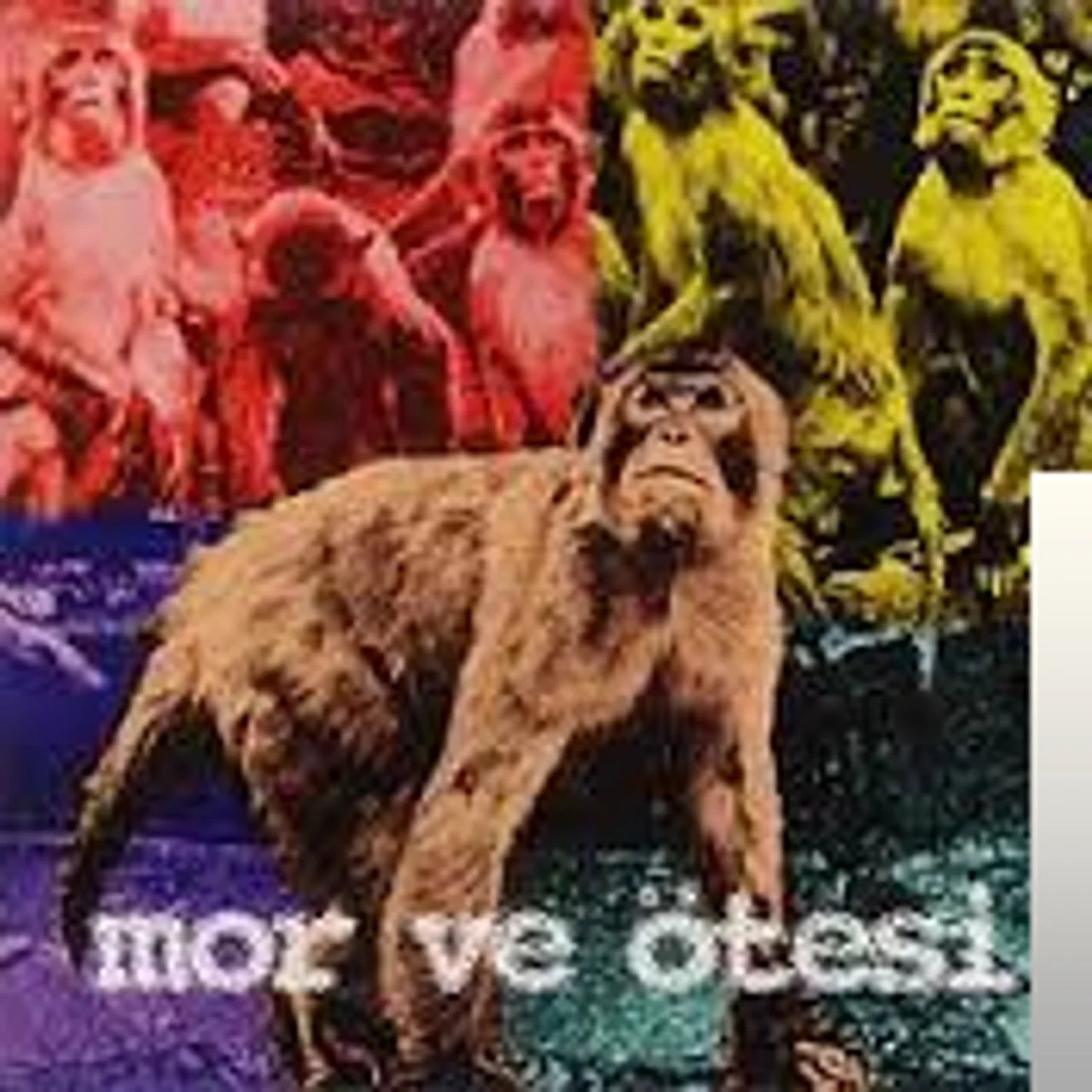 Mor Ve Ötesi - Beyaz