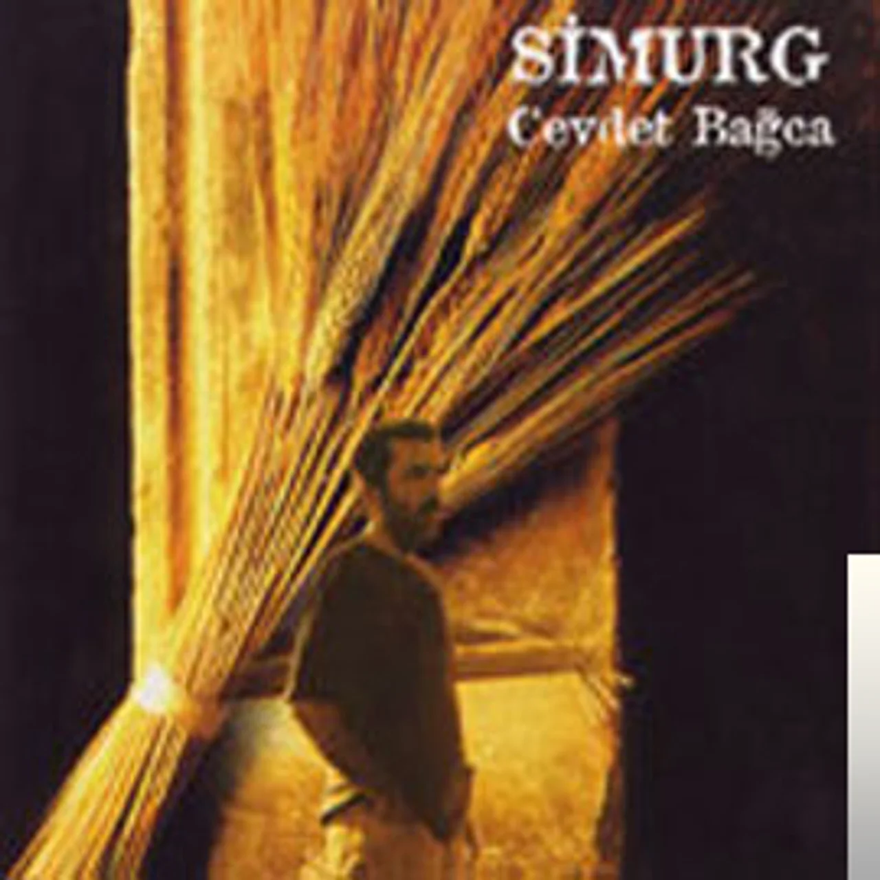 Cevdet Bağca - Göç