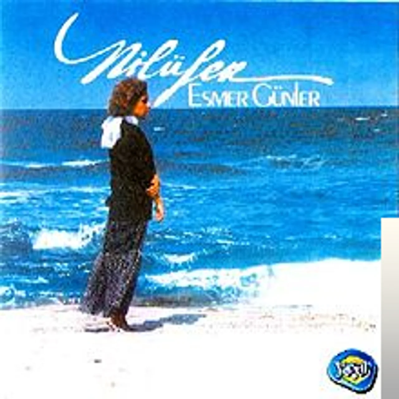 Nilüfer - Sokak Kedisi