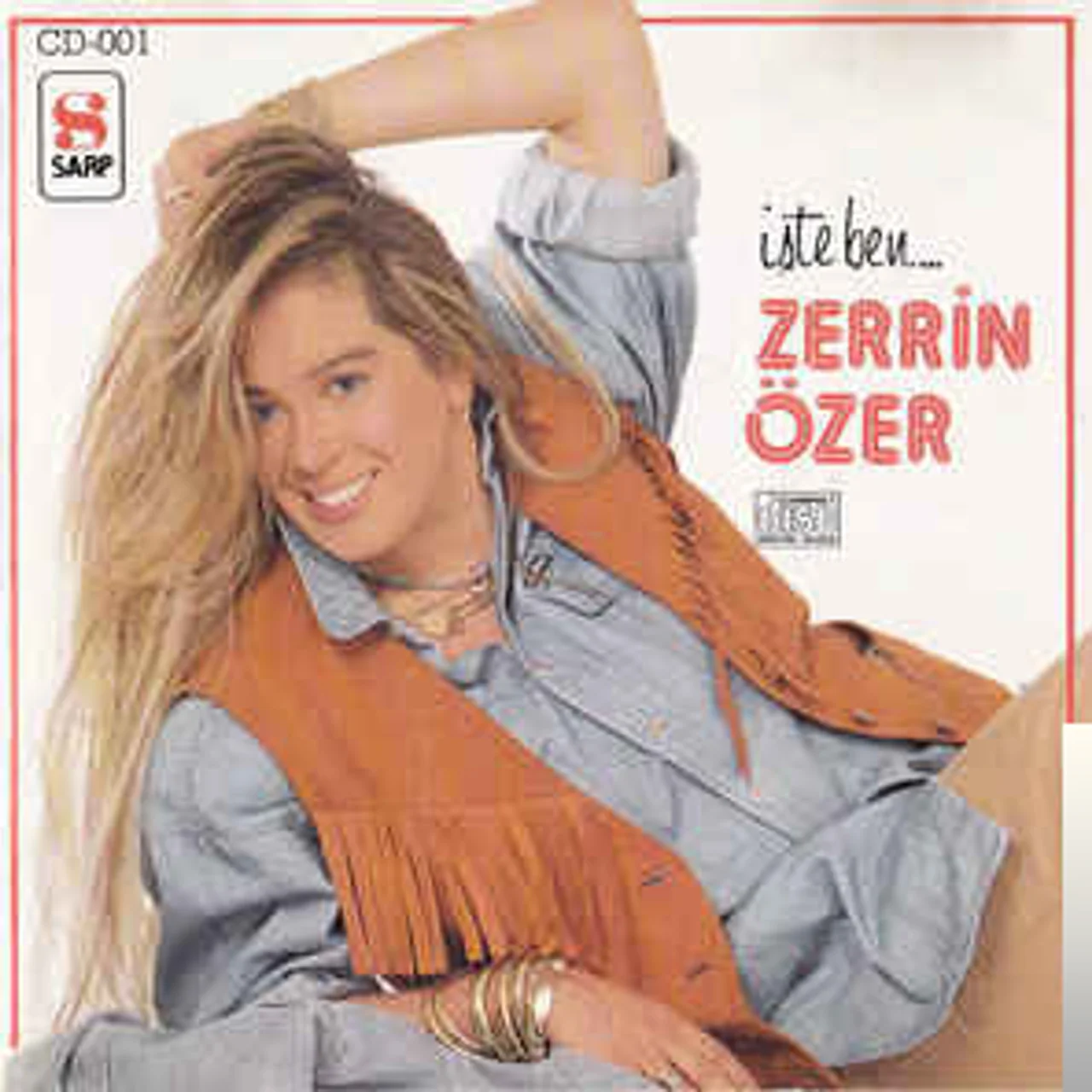 Zerrin Özer - Söyleyemem
