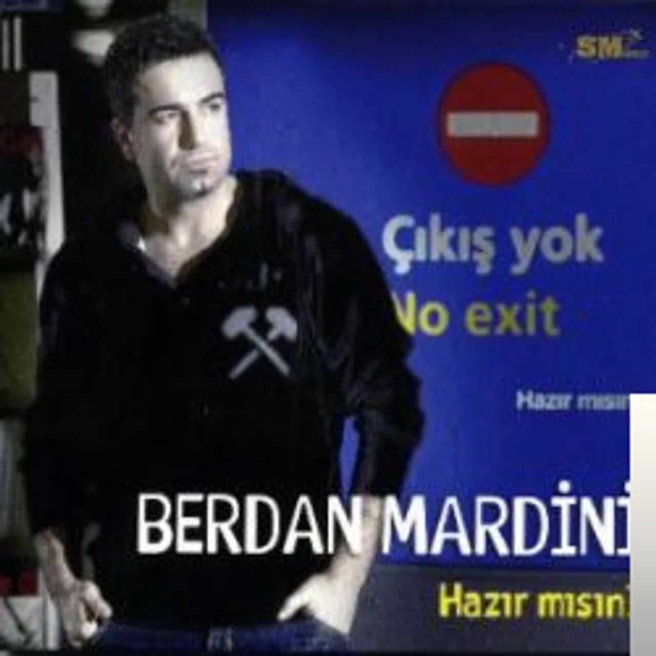 Berdan Mardini - Desinler