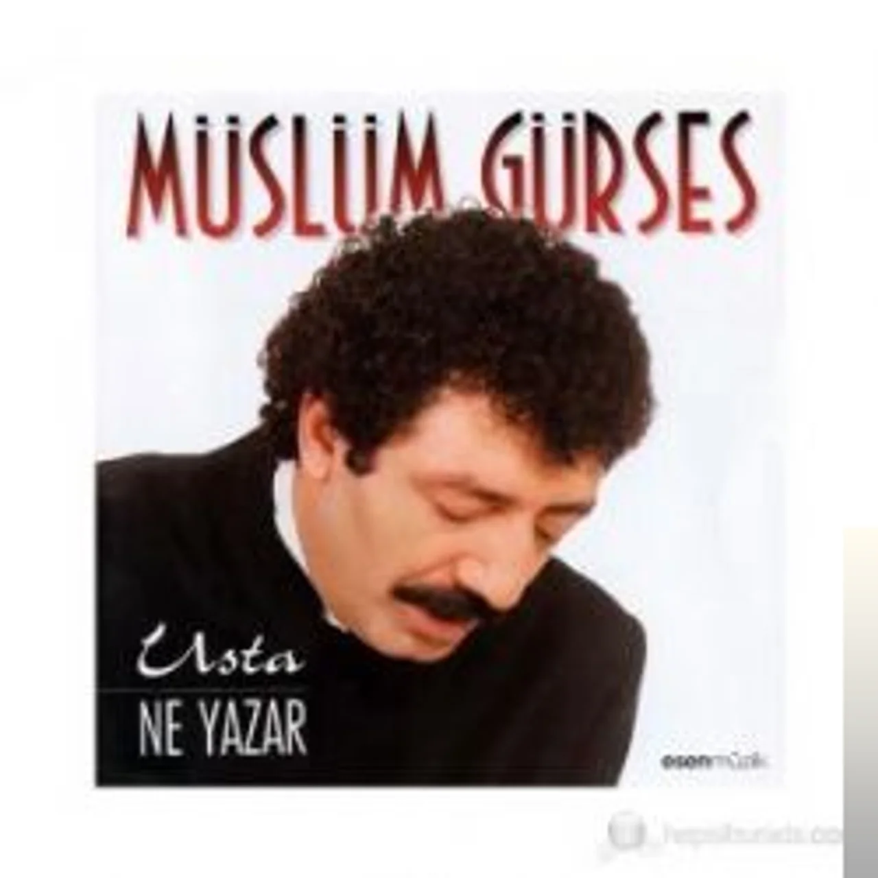 Müslüm Gürses - Sevdim İşte