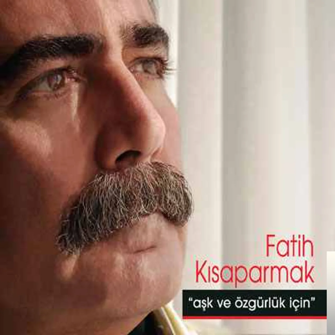 Fatih Kısaparmak - Ben Seni Büyük Sevdim