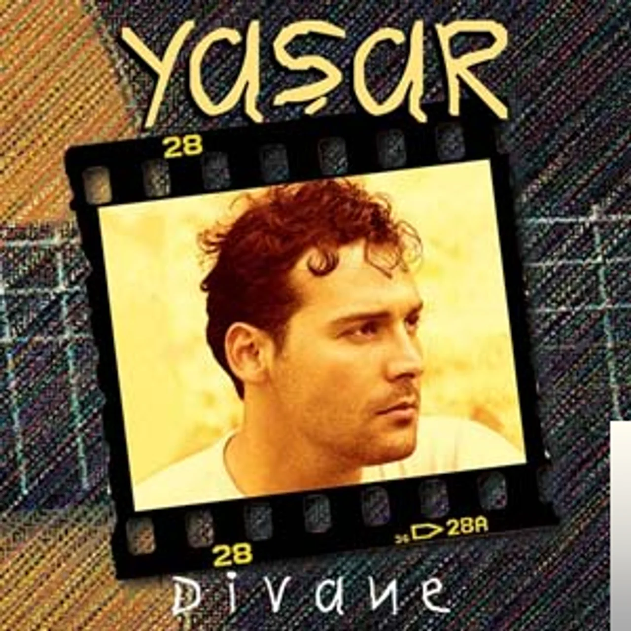 Yaşar - Cezayir Menekşesi