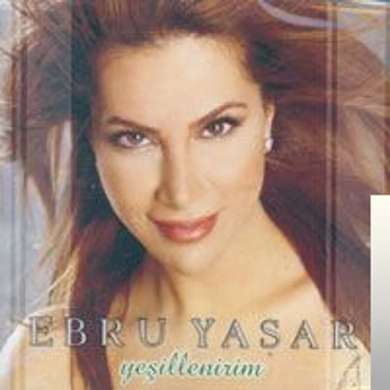Ebru Yaşar - Sevemem