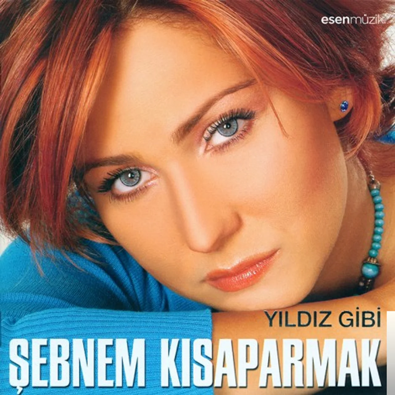 Şebnem Kısaparmak - Ah Eski Şarkılar