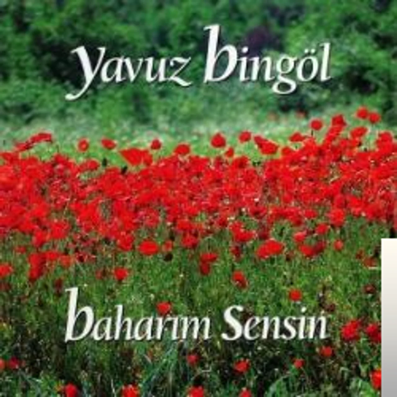 Yavuz Bingöl - Kızılırmak Ağıdı
