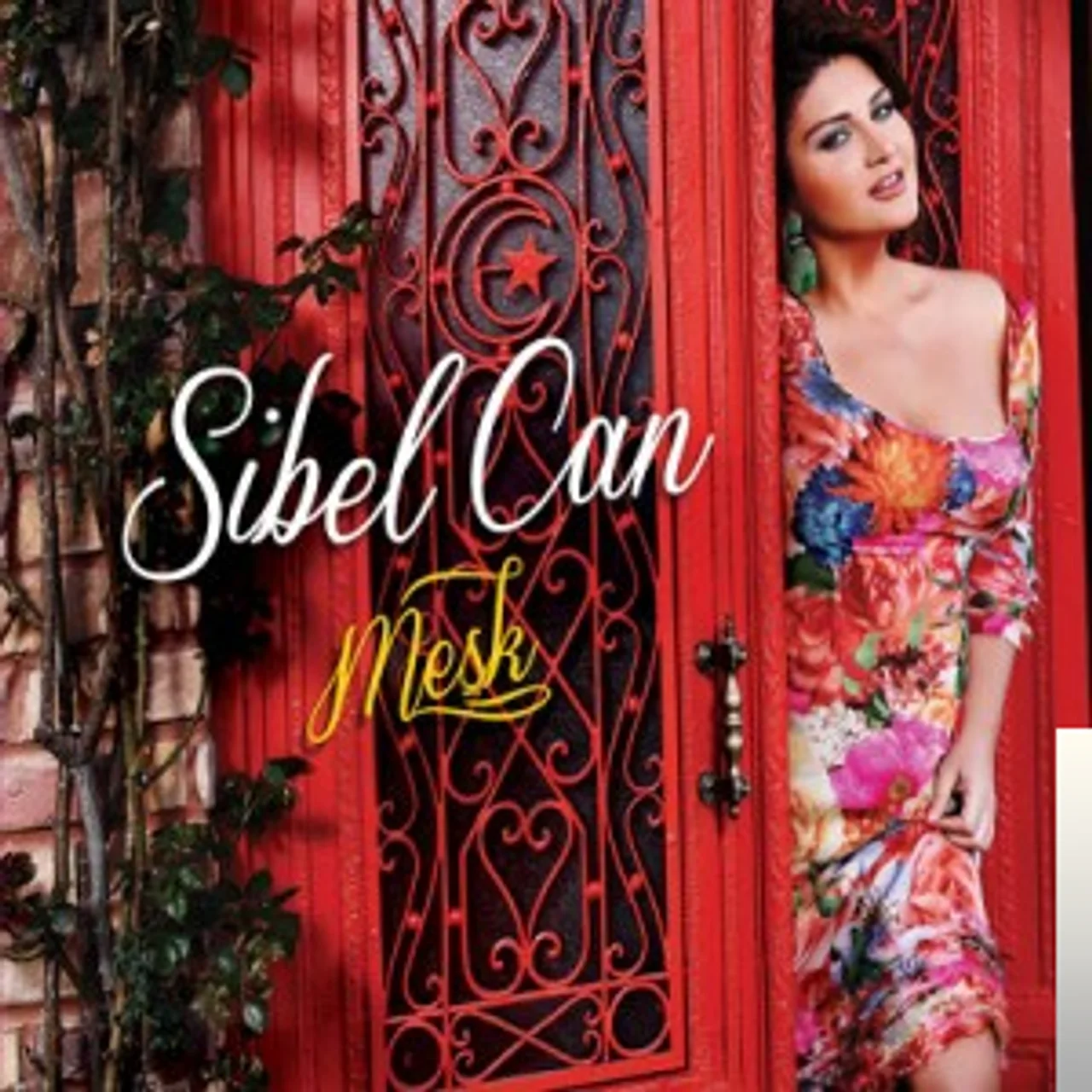 Sibel Can - Şeytana Uyduk Bir Kere