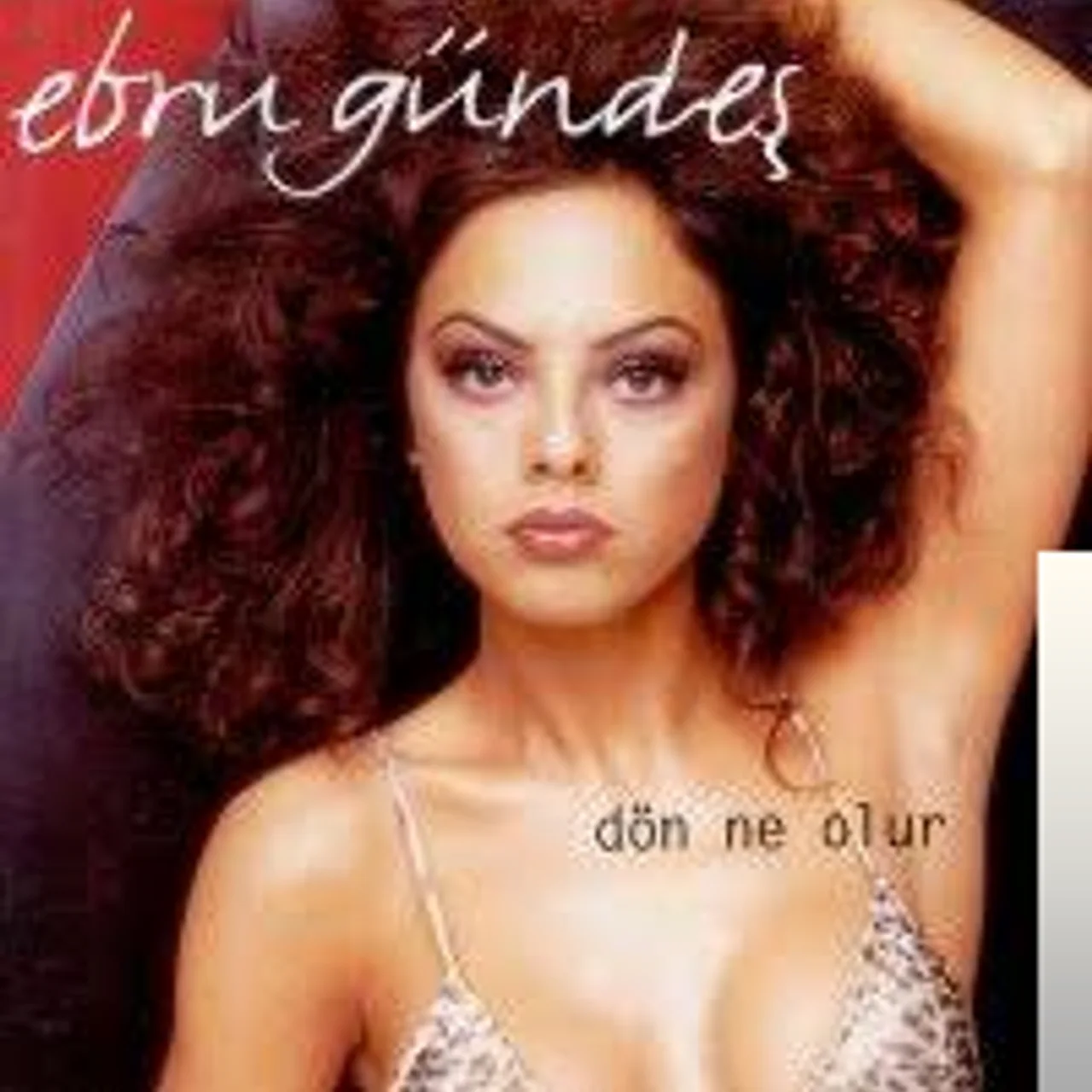 Ebru Gündeş - Affet