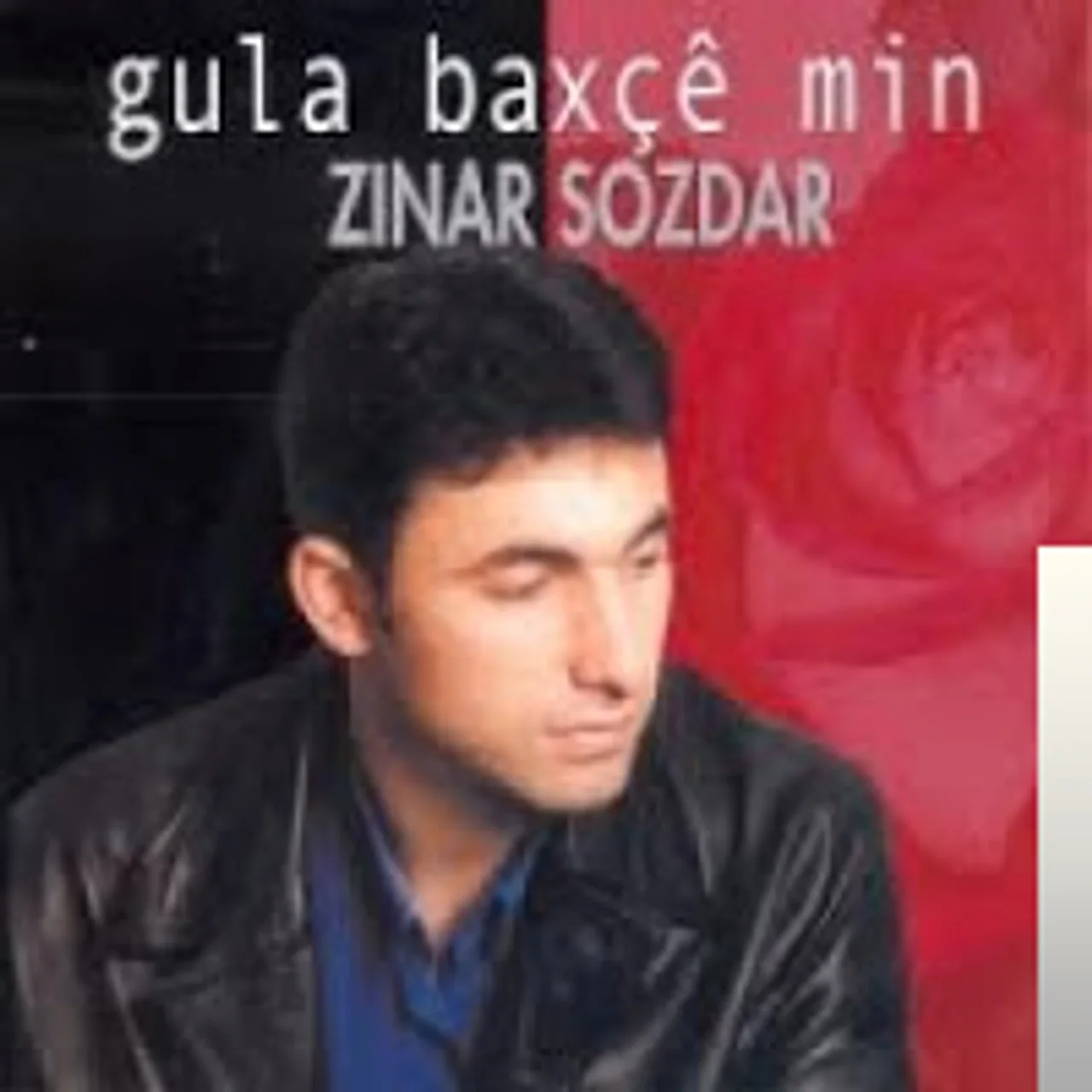 Zınar Sozdar - Derde Welat
