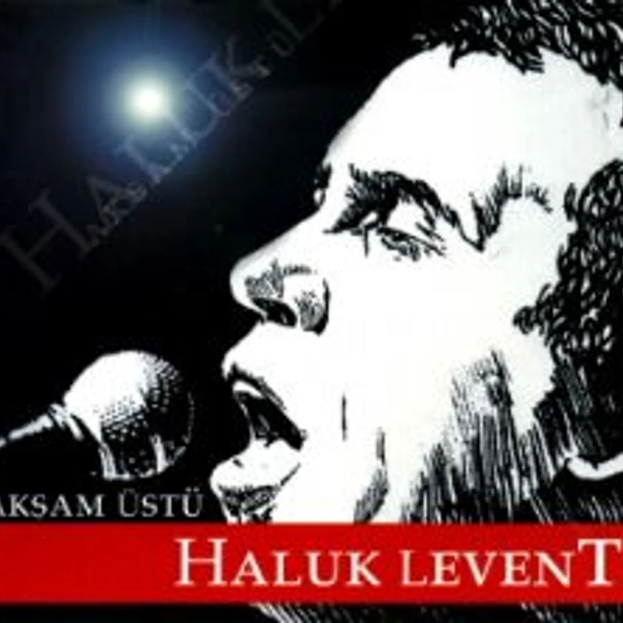 Haluk Levent - Gitme