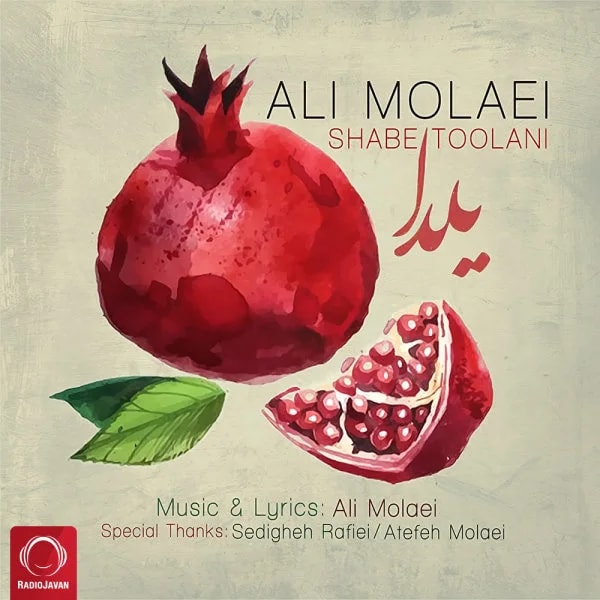 Ali Molaei - Shabe Toolani