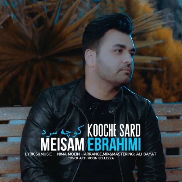 Meysam Ebrahimi - Kooche Sard