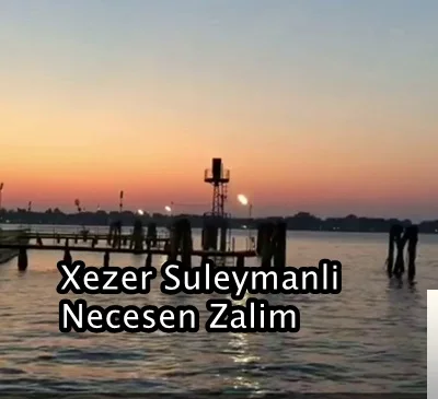 Xezer Suleymanli - Unutmağın Resepti