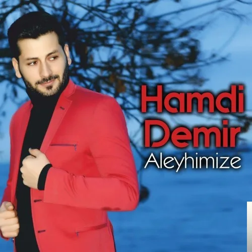 Hamdi Demir - Aleyhimize