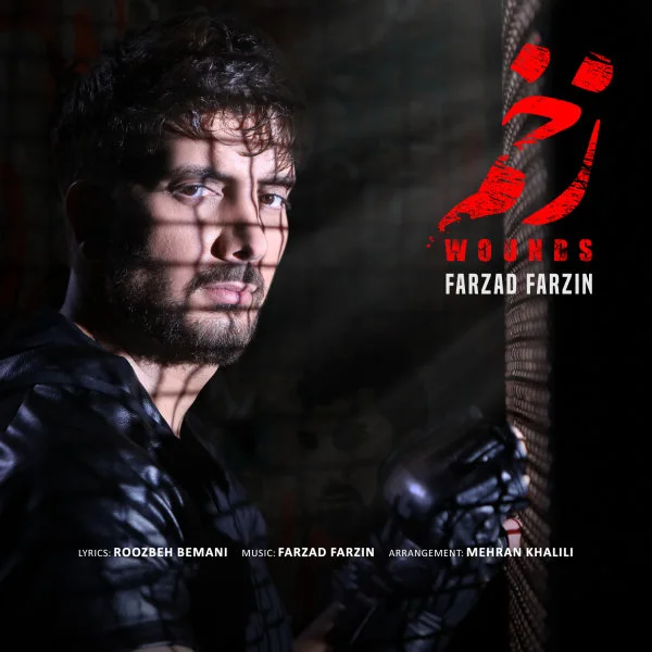 Farzad Farzin - Zakhm