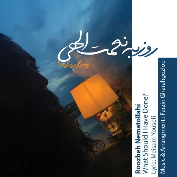 Roozbeh Nematollahi - Chekar Mikardam