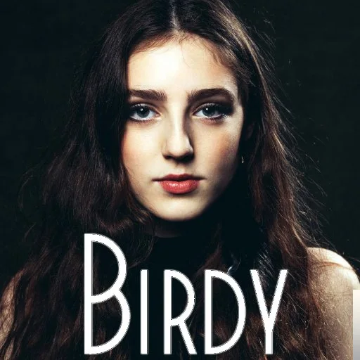 Birdy - Wild Horses