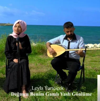 Leyla Yurtçiçek - Hırpaladın Sol Yanımı