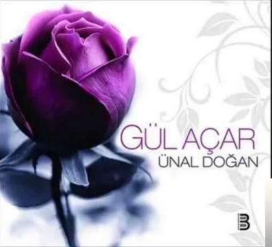 Ünal Doğan - Görmeden Sevdik