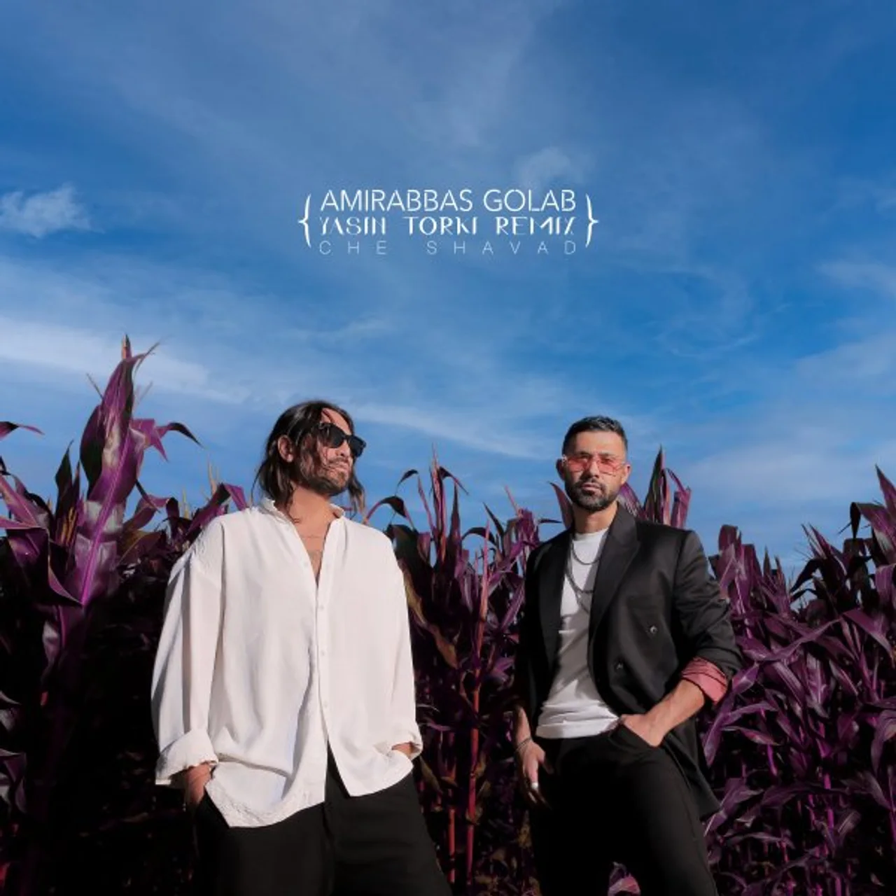 Amirabbas Golab - Che Shavad (Yasin Torki Remix)