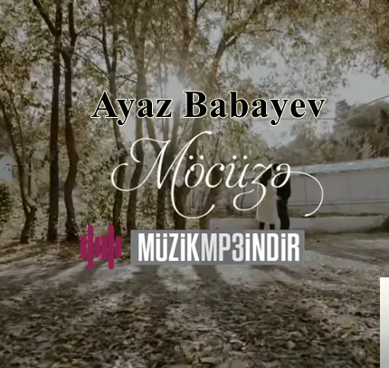 Ayaz Babayev - Düşüne Düşüne