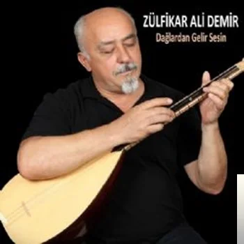 Zülfikar Ali Demir - Dağlardan Gelir Sesin