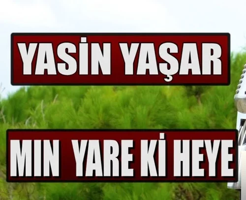 Yasin Yaşar - Yar Xayine