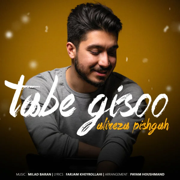 Alireza Pishgah - Tabe Gisoo