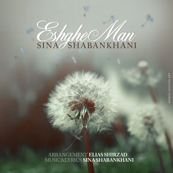 Sina Shabankhani - Eshghe Man