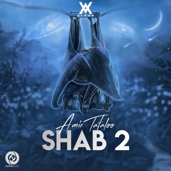 Amir Tataloo - Shab 2
