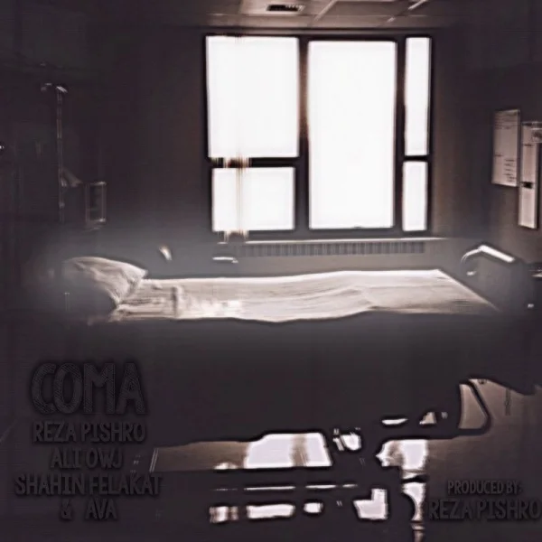 Pishro - Coma (Ft Ava & Shahin Felakat & Ali Owj)