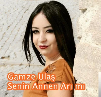 Gamze Ulaş - feat Hüseyin Kağıt-Senin Annen Arı mı