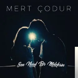 Mert Çodur - Kül
