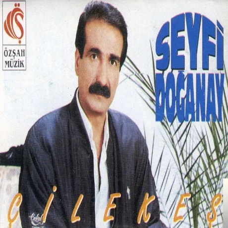 Seyfi Doğanay - Kalmadı