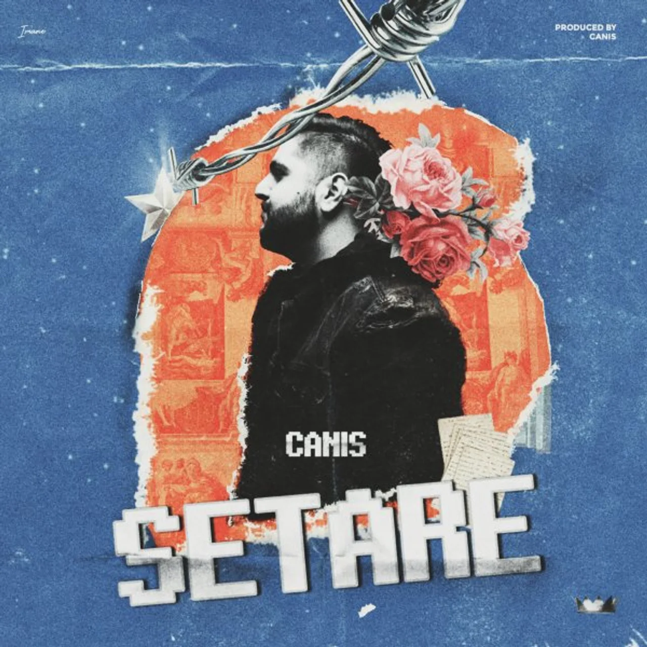 Canis - Setare