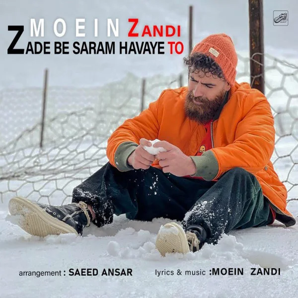 Moein Z - Zade Be Saram Havaye To
