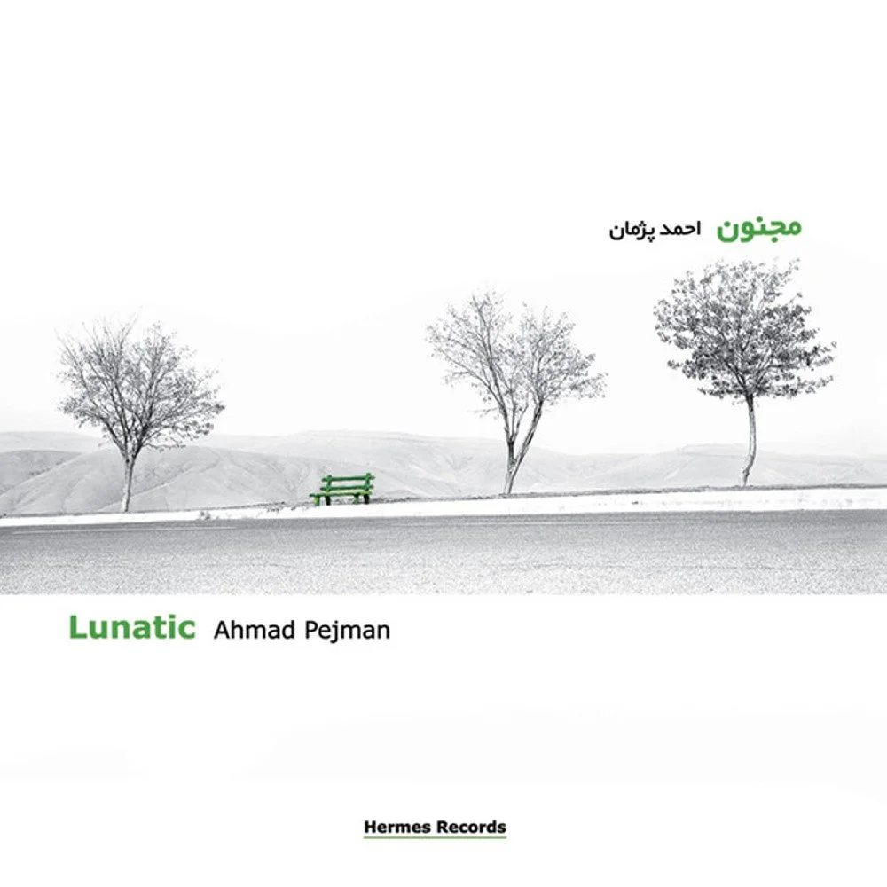 Ahmad Pejman - The Look