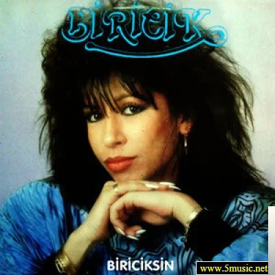 Biricik - Beni Tanıyamazsın