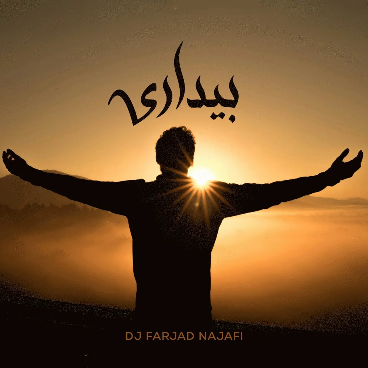 DJ Farjad Najafi - Bidari