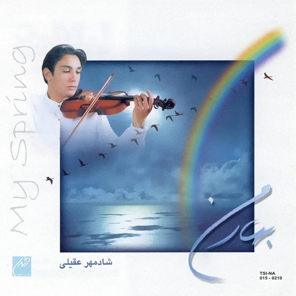 Shadmehr Aghili - Soroor 2 (Instrumental)