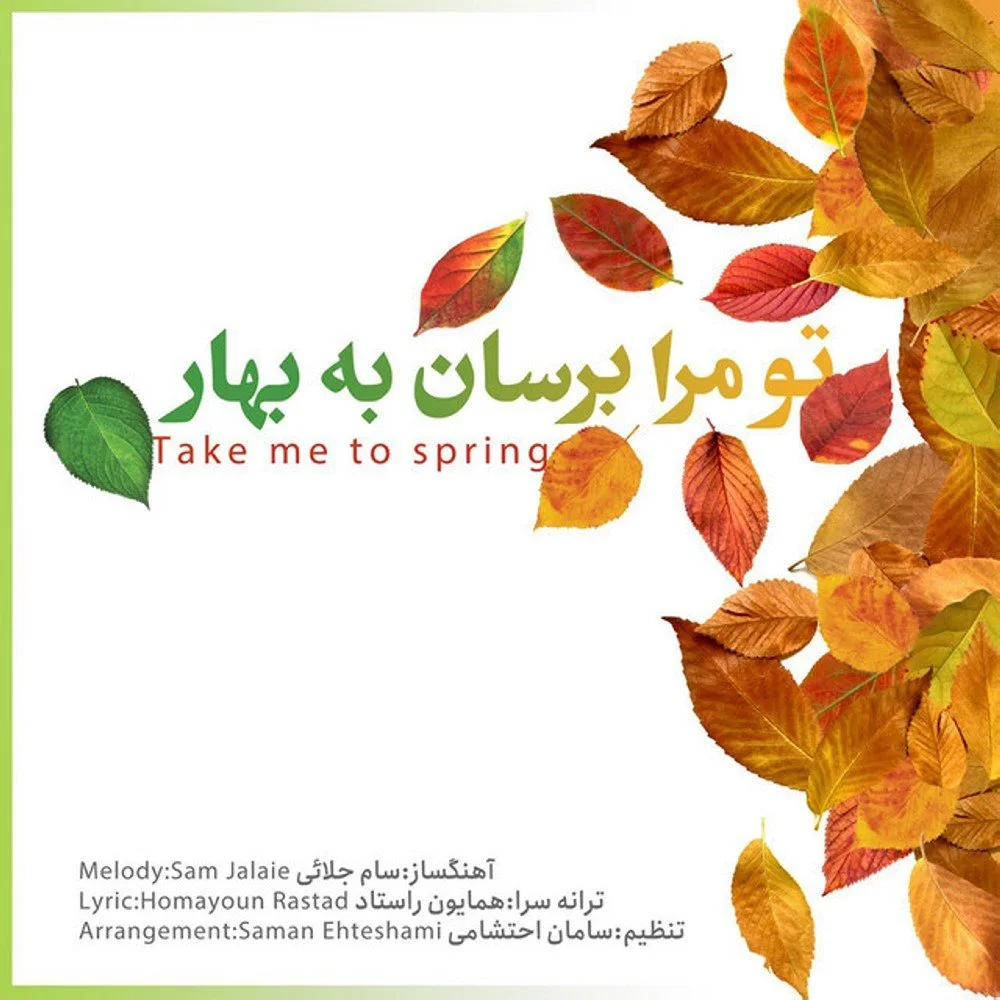 Saman Ehteshami - To Mara Beresan Be Bahar (Instrumental)